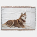 Search for siberian husky blankets Alaskan malamute