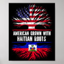 Search for american flag posters Fun