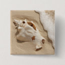 Search for seashell badges Coast