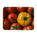 Search for agriculture magnets Harvest
