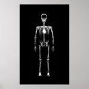 Search for skull decor White