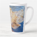 Search for icy mugs Nature