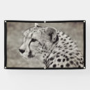 Search for black white leopard posters Wildlife