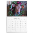 Search for calf calendars Calves