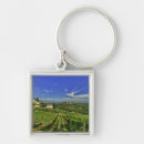 Search for vineyards key rings Italy