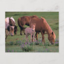 Search for goby postcards Asia