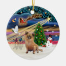 Search for long haired chihuahua christmas tree decorations Dogs