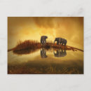 Search for asiatic postcards Elephant