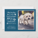 Search for dog adoption invitations Cute