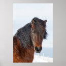 Search for headshot posters Pony