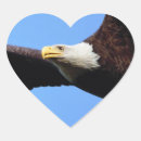 Search for soaring eagle stickers Usa