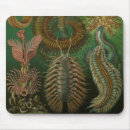 Search for worm mousepads Bugs