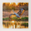 Search for sandhill crane puzzles Flying