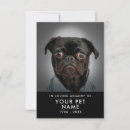 Search for pets sympathy cards Dogs