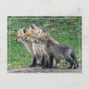 Search for triplet postcards Sister