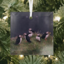 Search for puffin christmas tree decorations Wildlife