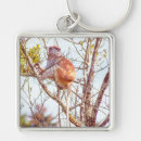 Search for up square key rings Landscape