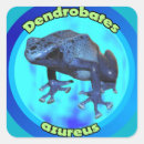 Search for poison stickers Amphibians