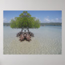Search for water fun posters Relax