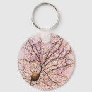 Search for neuron key rings Psychology