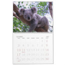 Search for koala calendars Cute