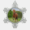 Search for pony christmas tree decorations Funny