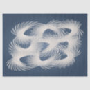 Search for white feather tissue paper Feathers