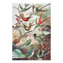 Search for vintage wildlife posters Birds
