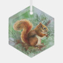 Search for red squirrel christmas tree decorations Animal