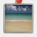 Search for hawaii christmas tree decorations United states