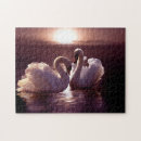 Search for love bird puzzles Beautiful