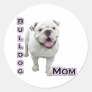 Search for bulldogs stickers English bulldog