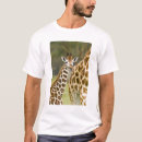 Search for rothschild tshirts Nobody