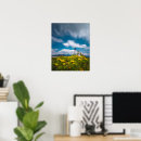 Search for dandelions posters Blossom