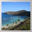 Search for hanauma posters Bay