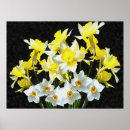 Search for yellow grey white posters Flowers