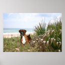 Search for hide posters Animals