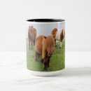 Search for shetland pony mugs Farm