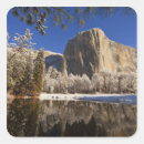 Search for reflection stickers Scenic