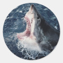 Search for large format stickers Colour image
