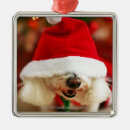 Search for dog costume christmas tree decorations Animal