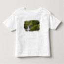 Search for oregon state tshirts Waterfall