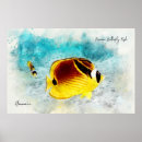Search for raccoon posters Yellow