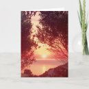 Search for no filter cards Red