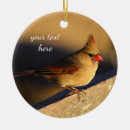 Search for female cardinal christmas tree decorations Wildlife