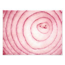 Search for rose macro posters Texture