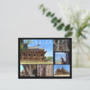 Search for sanctuary postcards Souvenir