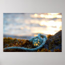 Search for fishing float posters Ball