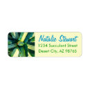 Search for agave return address labels Succulent