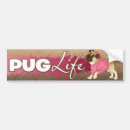 Search for pet pug bumper stickers Cute